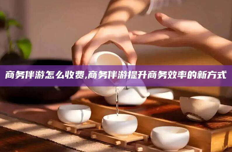 菏泽商务伴游怎么收费,商务伴游提升商务效率的新方式