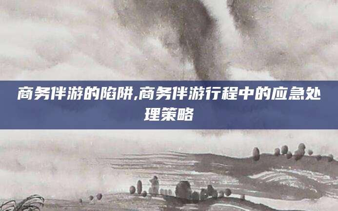 菏泽商务伴游的陷阱,商务伴游行程中的应急处理策略